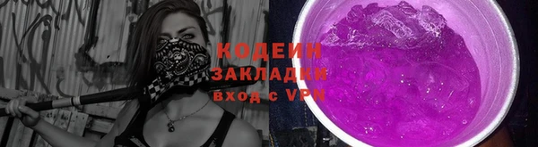 крисы Сатка
