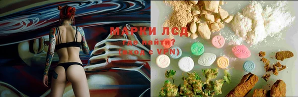 крисы Сатка