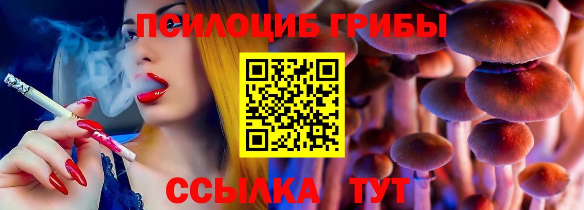 Галлюциногенные грибы мухоморы  Псилоцибиновые грибы GOLDEN TEACHER  Слободской  Вход с VPN 